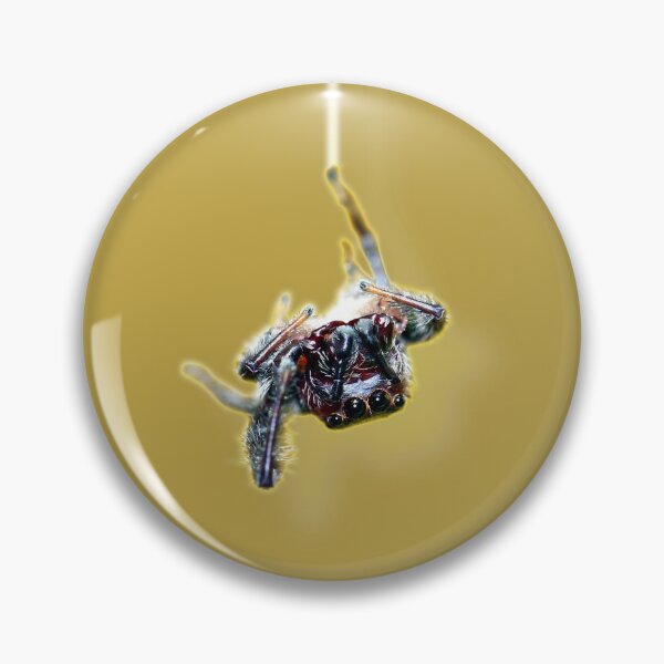 Item preview, Along Came a Spider ... designed and sold by Siene Browne.