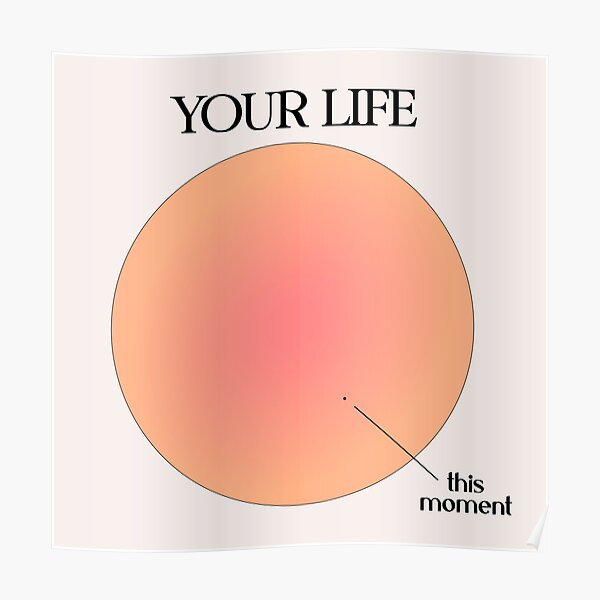 Visualisation de votre vie vs ce moment Poster