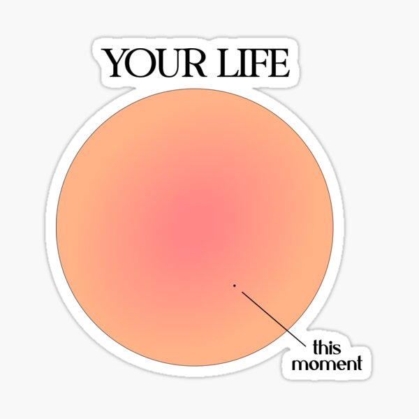 Your Life vs This Moment Visualization Sticker