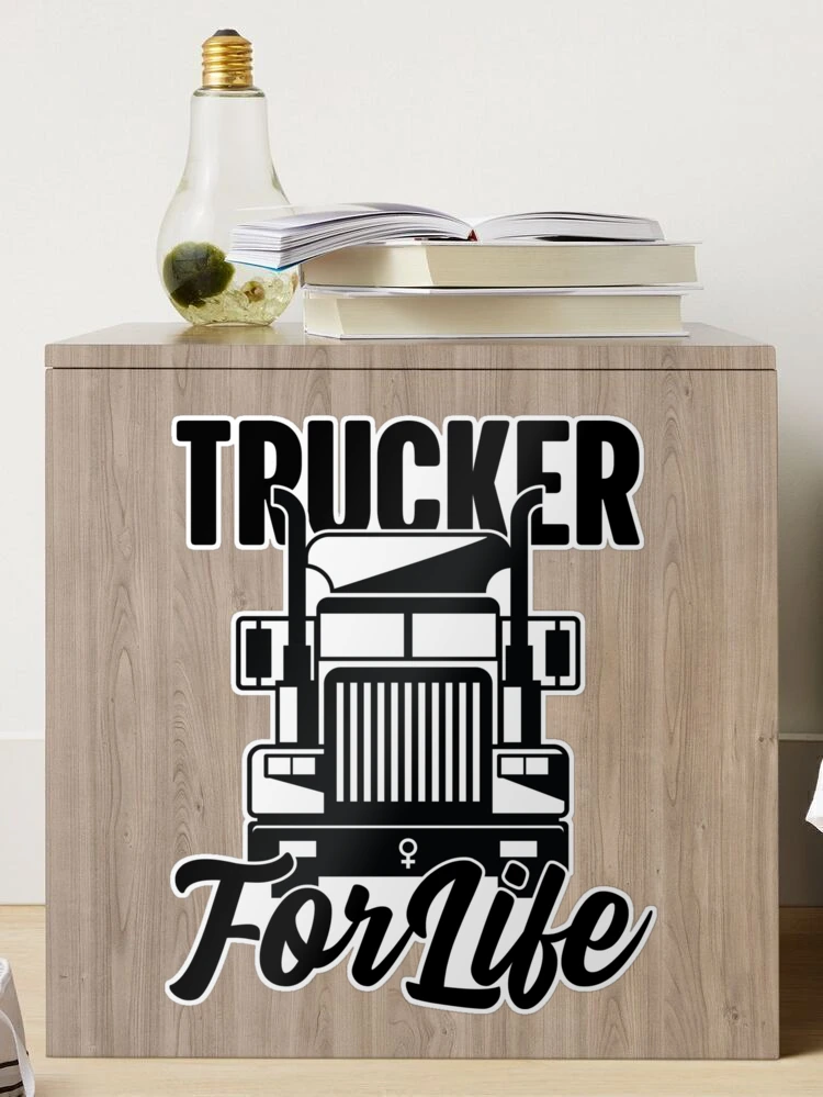 Cool Trucker Gifts Vehicle Semi Truck Accessories Funny Truck Driver for  Women Girls Lorry Cab Female Driving Throw Pillow, 18x18, Multicolor