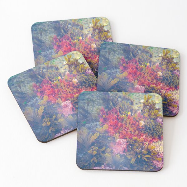 Item preview, Tide Pools of Laguna Beach designed and sold by Kgphotographics.