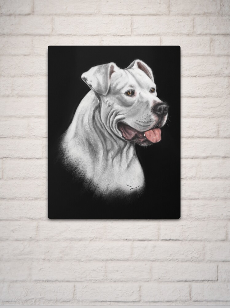 Dogo Argentino, an art print by Jonathan Wesslund - INPRNT