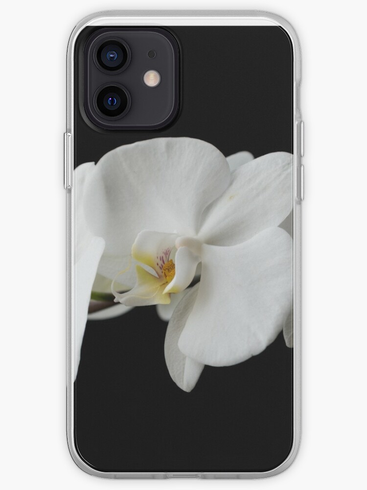 Funda de iPhone «La rama de la orquídea blanca aislada» de Alexx60 |  Redbubble