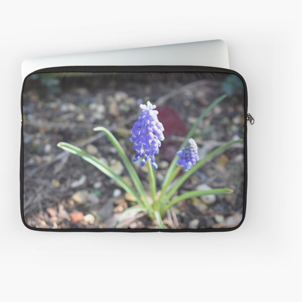Muscari Flowers Purple Sunlight Laptop Sleeve