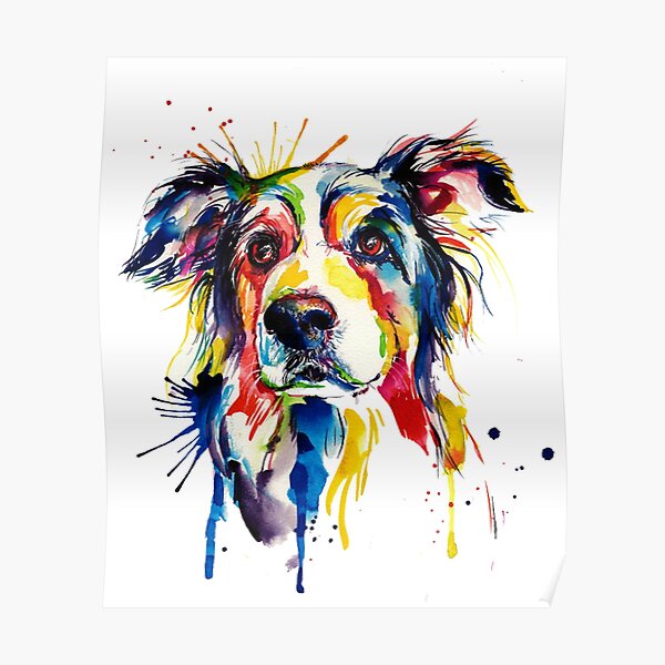 Border Collie Art Poster