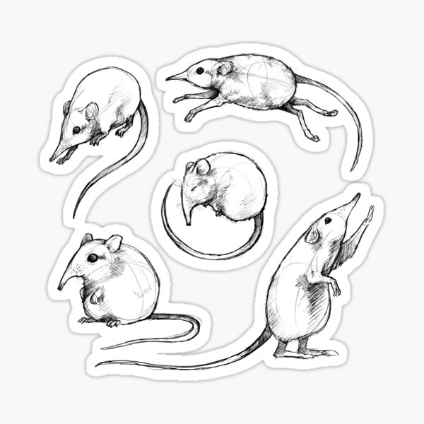 Sketches of a Shrew Sticker