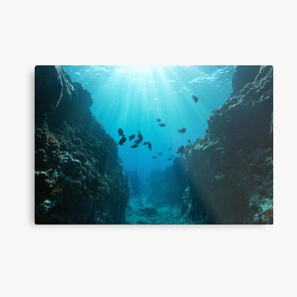 Canyon underwater with sunlight Pacific ocean Metal Print