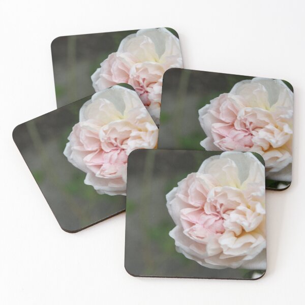 Item preview, Wild Cottage Rose designed and sold by SeaverN.