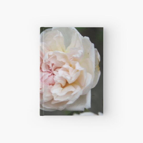 Wild Cottage Rose Hardcover Journal
