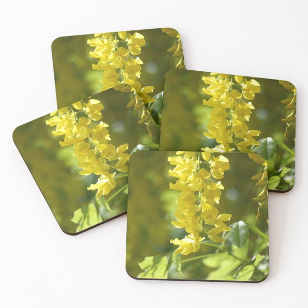 Item preview, Yellow Laburnum flower  in Morning Sun designed and sold by SeaverN.