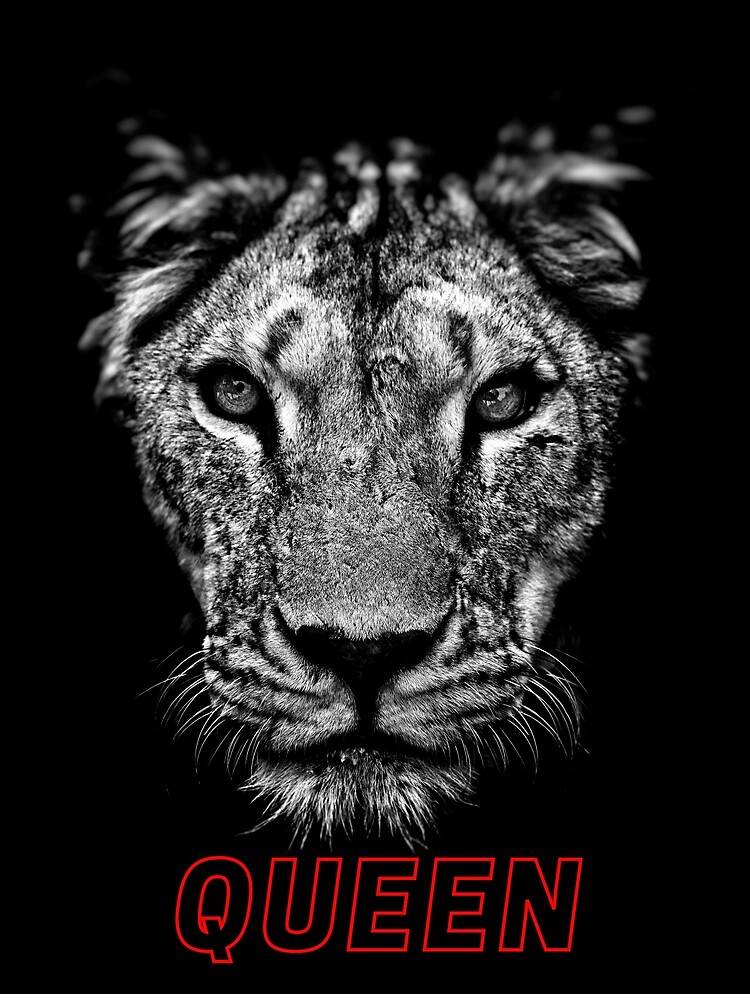 "QUEEN of the CONCRETE Jungle Every KING needs his QUEEN Lions Kings