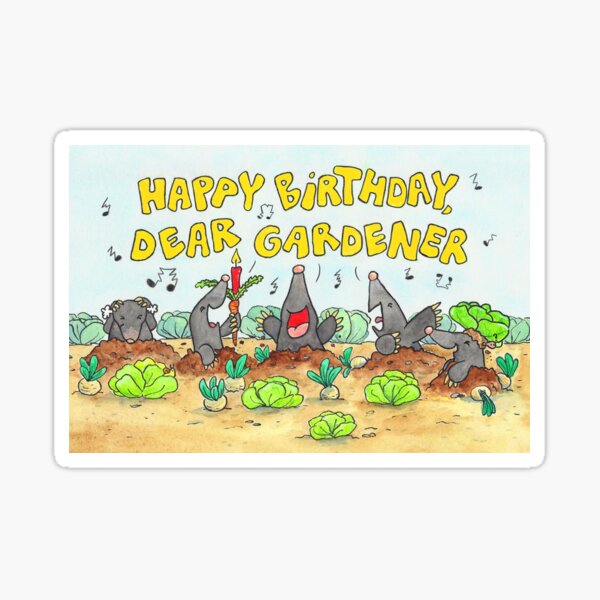 Stickers Sur Le Theme Happy Birthday Joyeux Anniversaire Message Fun Redbubble