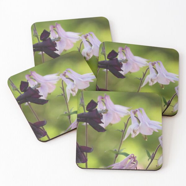 Item preview, Aquilegia photo print designed and sold by SeaverN.