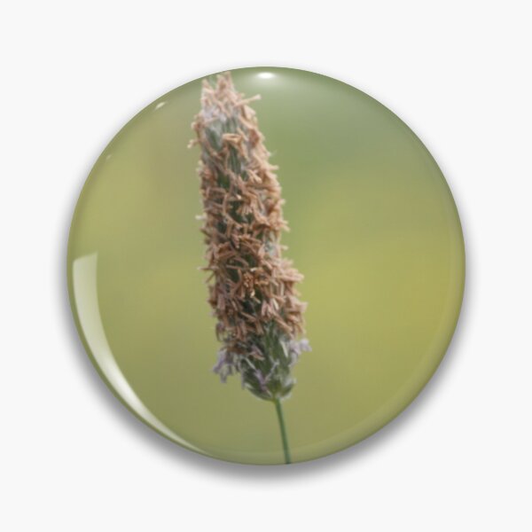Grass in Bloom Pin