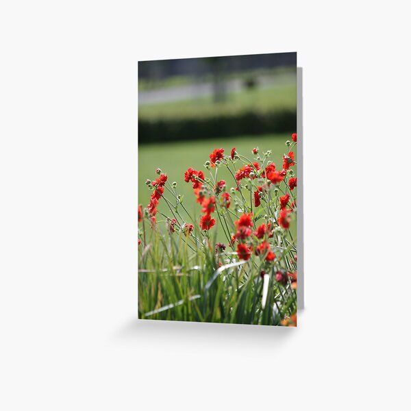 Wildflower Meadow Greeting Card