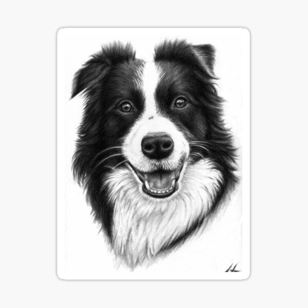 Border Collie Smiley Sticker