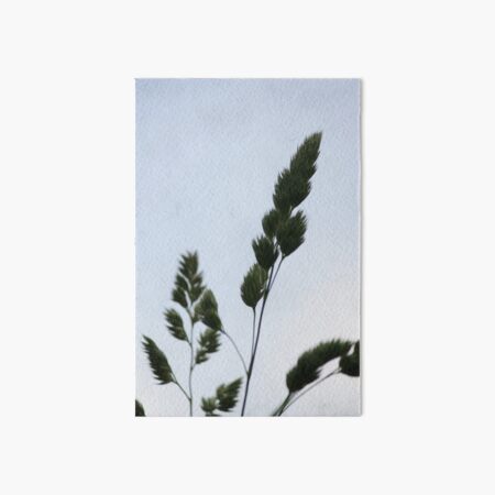 Tall Grass in Spring Art Board Print