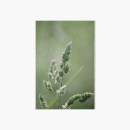 Wild Grass Art Board Print