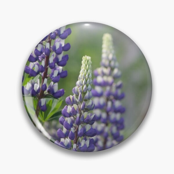 Lupin Pin