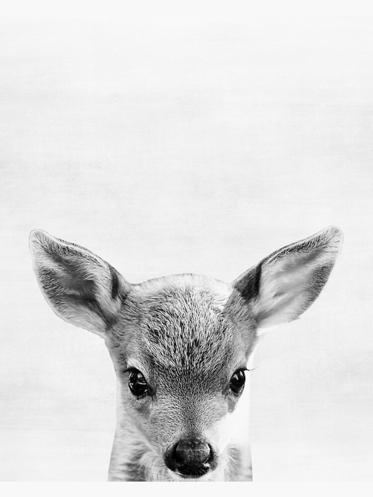 Baby Deer Print