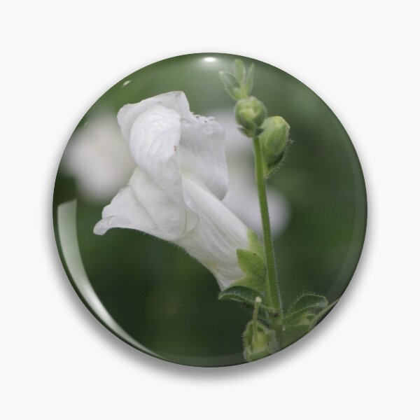 White Snapdragon in Rain Pin