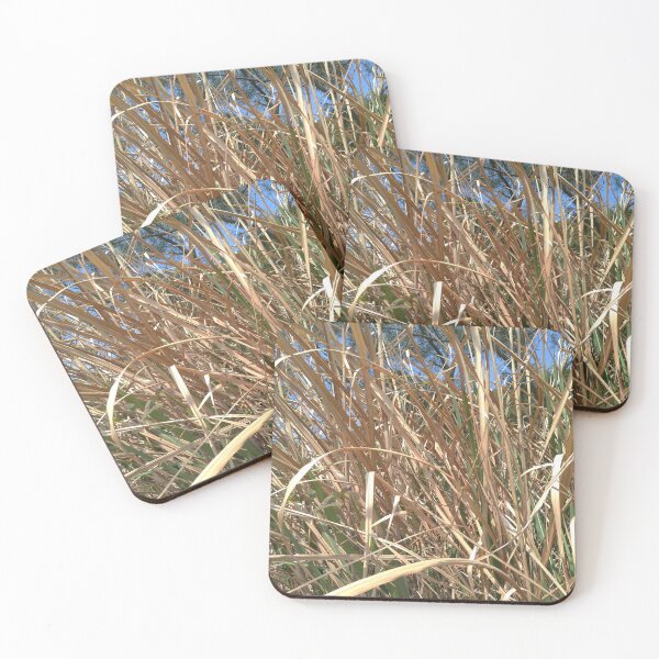 Item preview, Tall Sun Dried Grass designed and sold by Sinemathk.