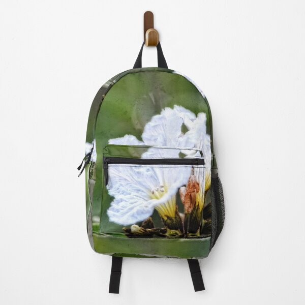 Artikelvorschau, Olive You - Olive Flower Art By Sharon Cummings entworfen und verkauft von Sharon Cummings Art.