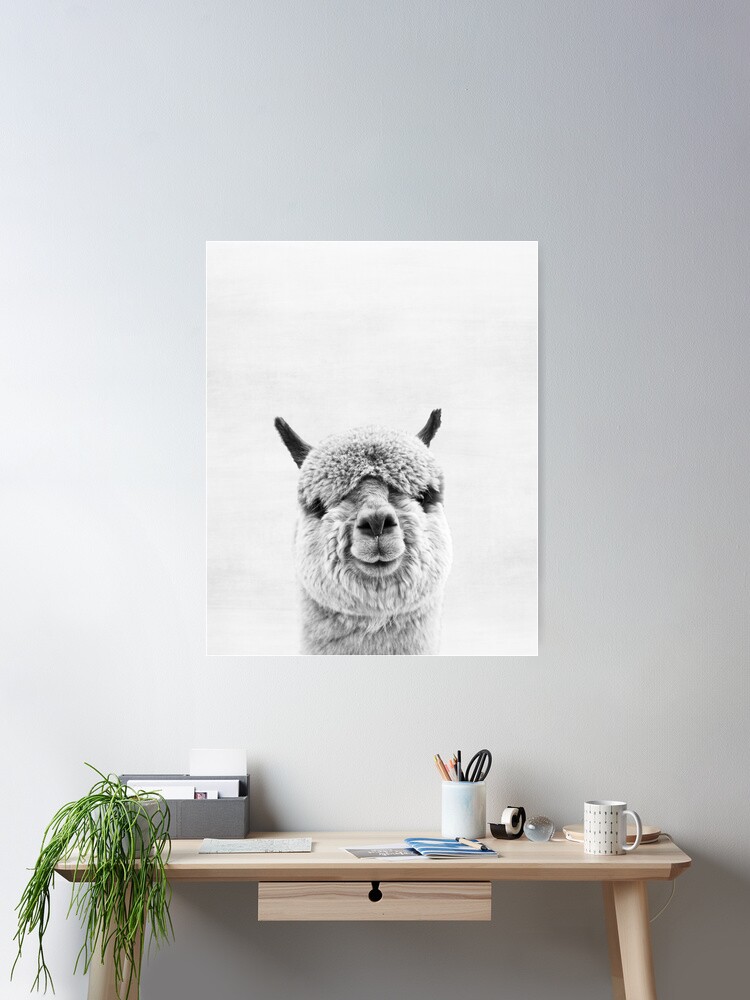 Thumbnail 1 of 3, Poster, Alpaca designed and sold by juliaemelian.
