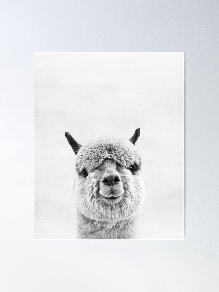 Thumbnail 2 of 3, Poster, Alpaca designed and sold by juliaemelian.
