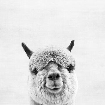 Artwork thumbnail, Alpaca by juliaemelian