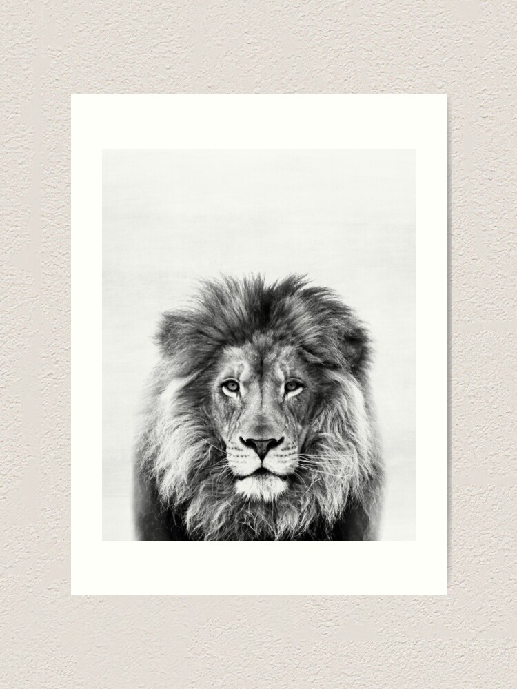 Alternate view of Lion Art Print