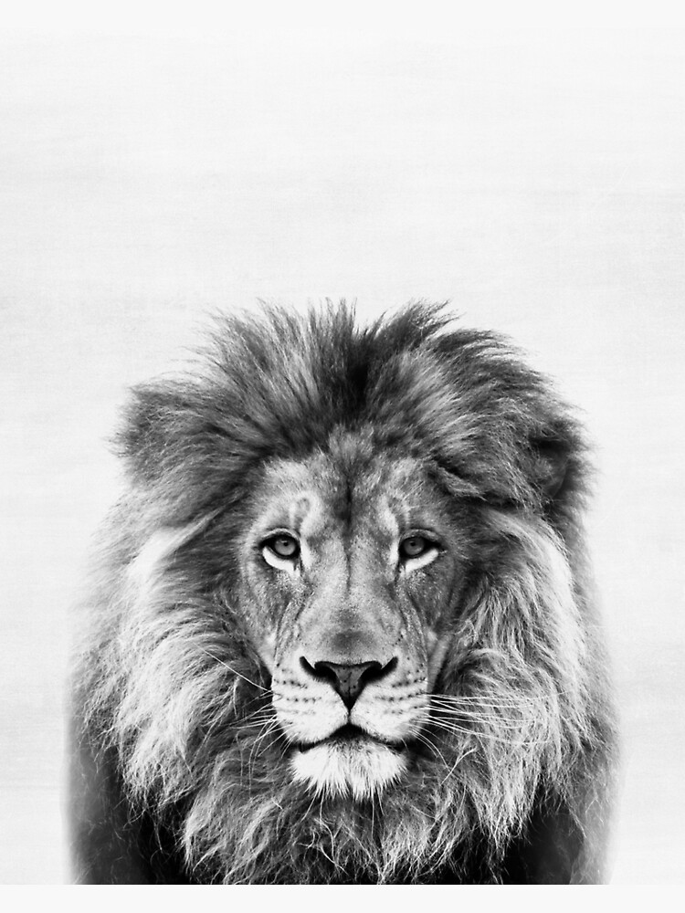 Lion by juliaemelian