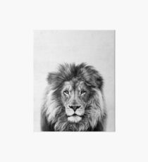 Lion Art Board