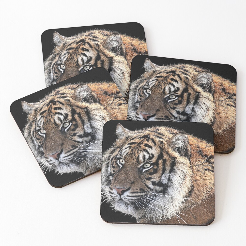 Item preview, Coasters (Set of 4) designed and sold by joonzero.