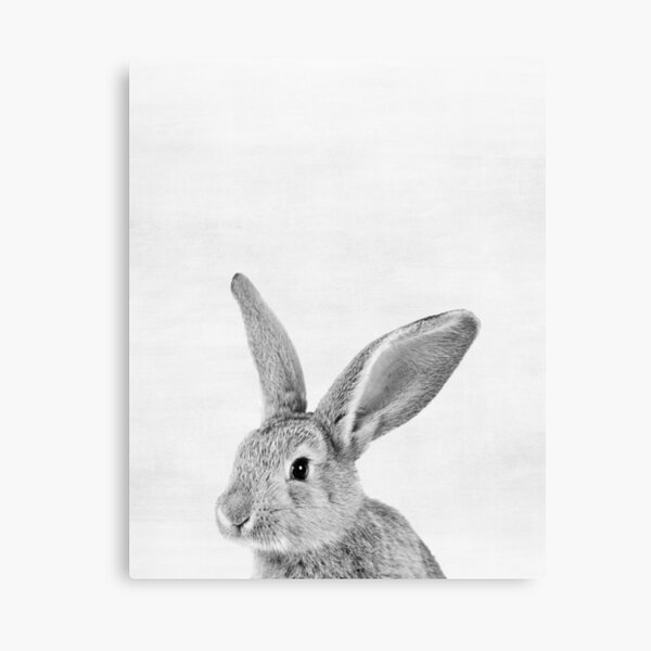 Item preview, Rabbit designed and sold by juliaemelian.