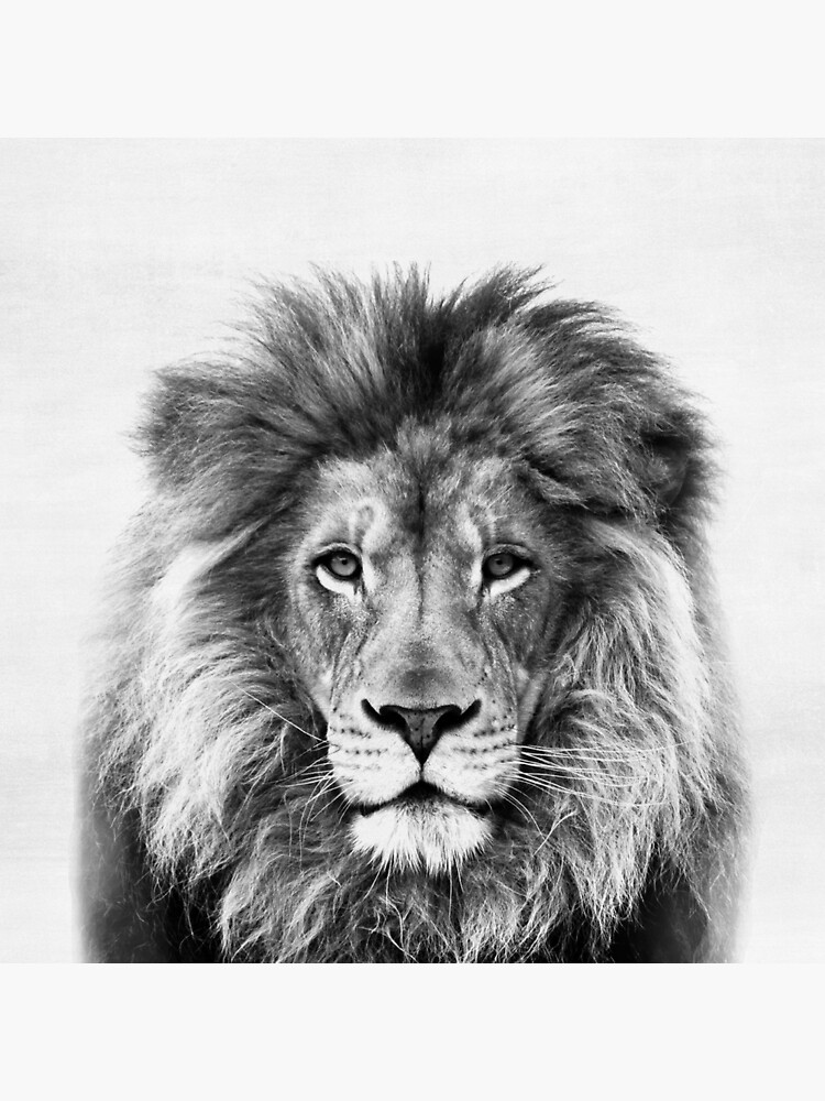 Lion by juliaemelian