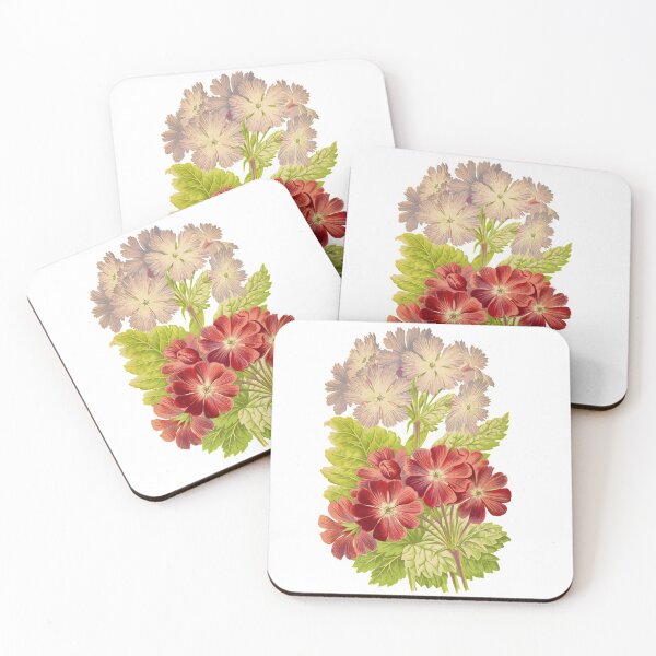 Item preview, Siberian primrose (Primula cortisoides) designed and sold by Ecologos.