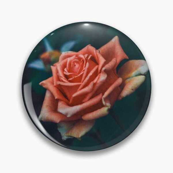 Item preview, Roses, orange roses, flowers, flower photo designed and sold by Nina Lybimova.