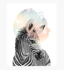 Zebra // Dreaming Photographic Print
