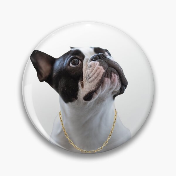 Item preview, French Bulldog in Gold Chain designed and sold by MahTees.
