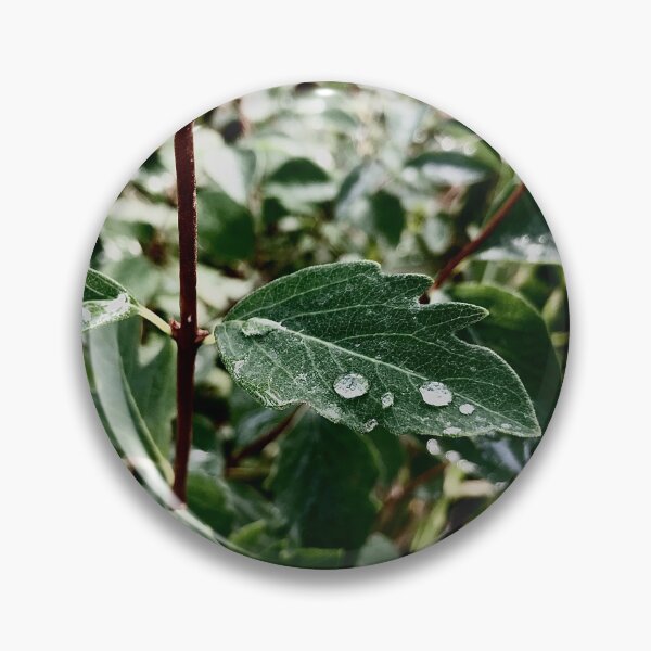 Item preview, Rain Drop On Leaf designed and sold by ellenscdesigns.