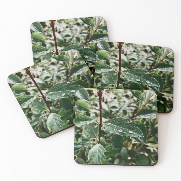 Item preview, Rain Drop On Leaf designed and sold by ellenscdesigns.