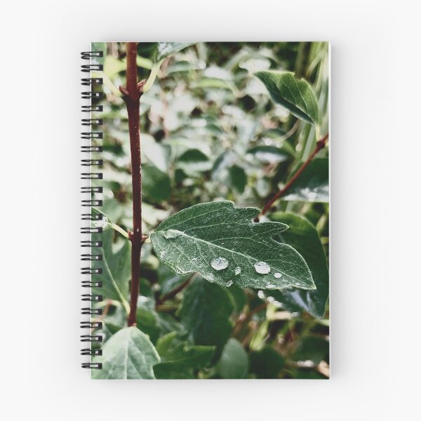 Item preview, Rain Drop On Leaf designed and sold by ellenscdesigns.