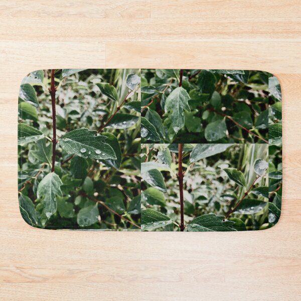 Item preview, Rain Drop On Leaf designed and sold by ellenscdesigns.