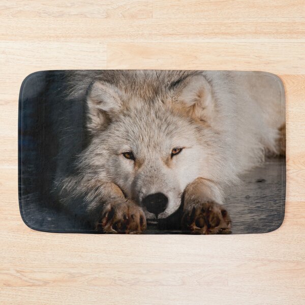 Item preview, Arctic Video designed and sold by Michael Cummings.