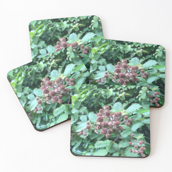 Item preview, Wild Raspberries  designed and sold by Eloise Park.