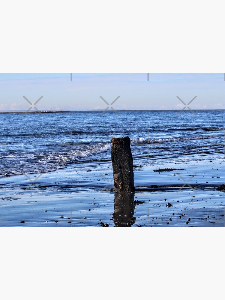By the Seaside 4 by Seashorepics