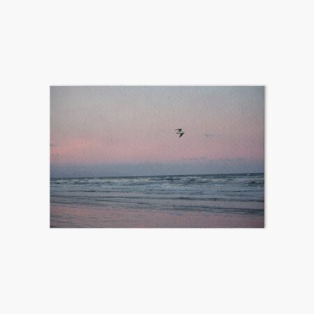 Winter Sunset on the Irish Coast Art Board Print
