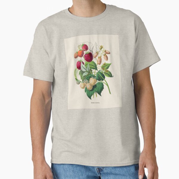 Artikel-Vorschau von Rote Himbeere antike botanische Illustration, designt und verkauft von Antiquated Art.