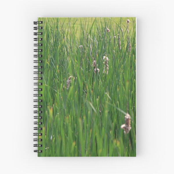 Item preview, Spring Bulrush stems. designed and sold by AlexIPhotograph.